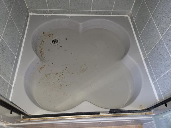 165705502 3839932282752864 5397486292740877603 n