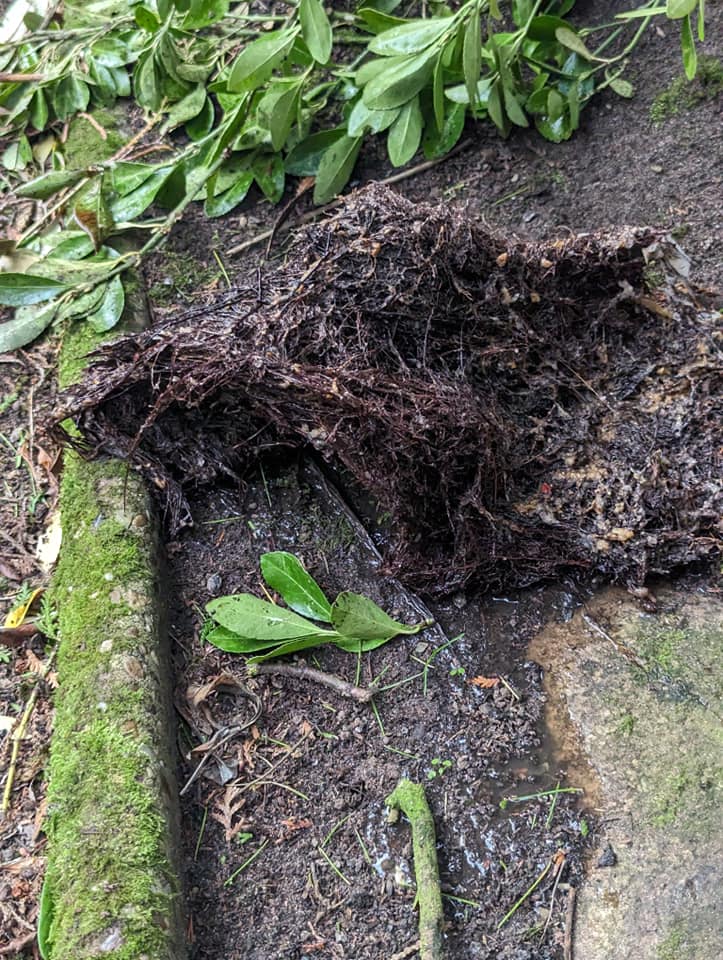 drainage macclesfield5